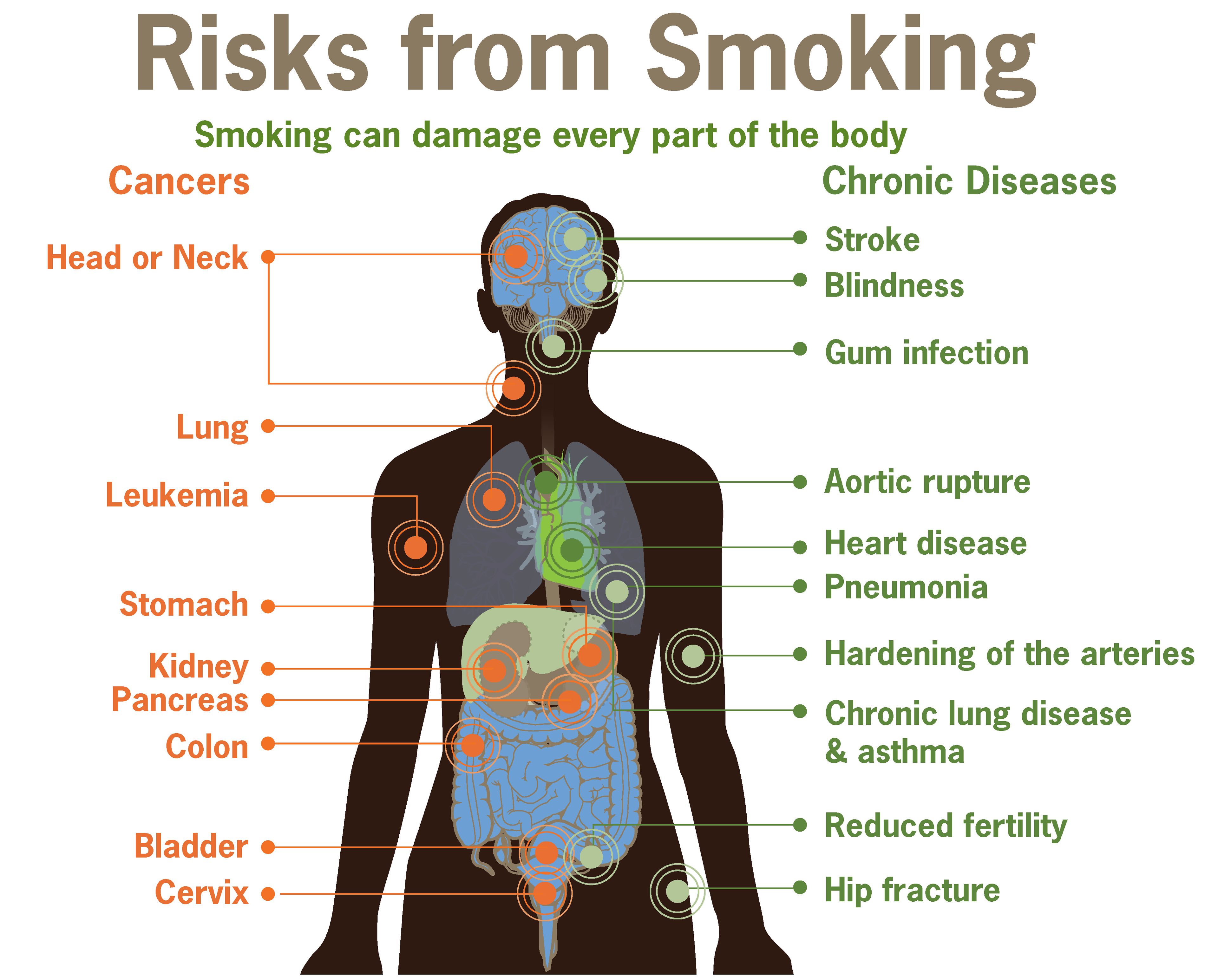 Reasons for Smoking, Its Health Harms and Aromatherapy for Quitting
